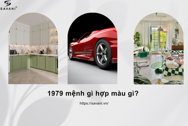 Ứng dụng màu sắc hợp phong thủy cho nội thất và xe cộ của người sinh năm 1979 Kỷ Mùi.