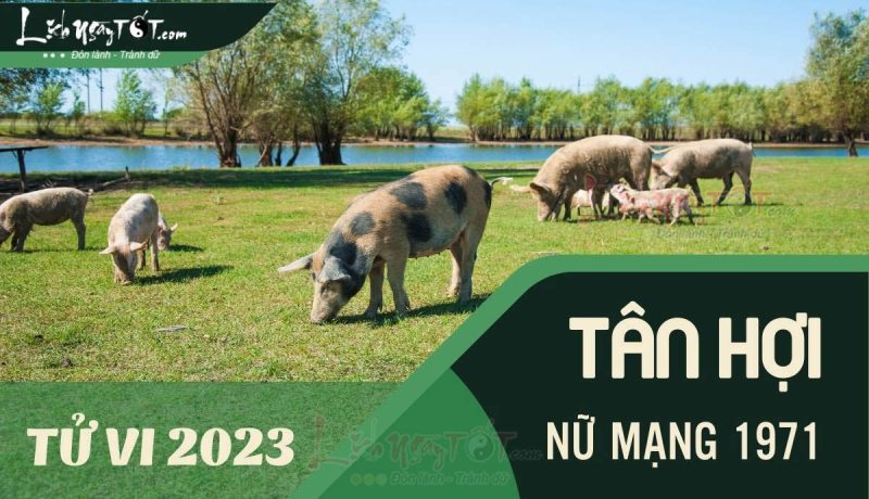 Vận mệnh nữ mạng tuổi Tân Hợi 1971 trong năm 2023 theo chiêm tinh và phong thủy