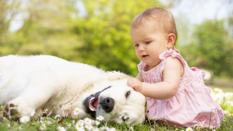 Vận mệnh nữ Mậu Tuất 2018: Em bé gái đang ngủ yên bình