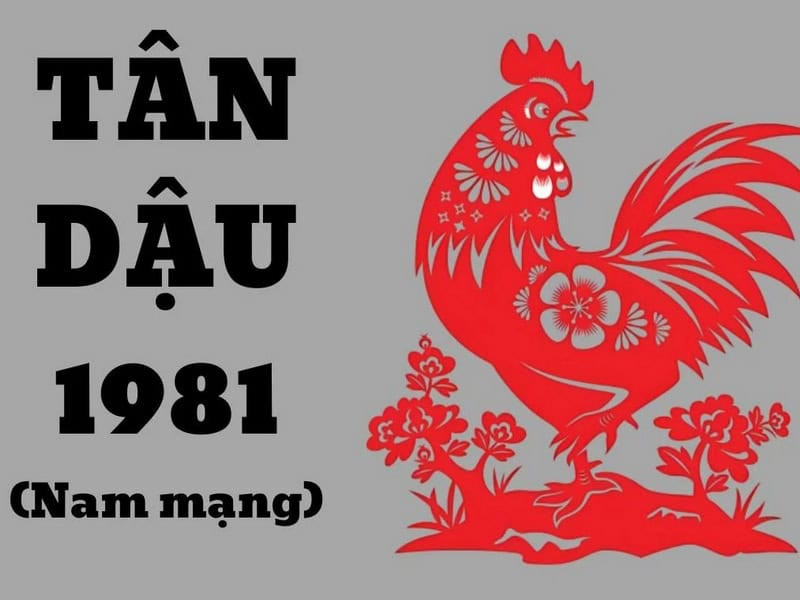 Vận mệnh tử vi tân dậu nam mạng 2025 có nhiều điểm khác biệt tích cực