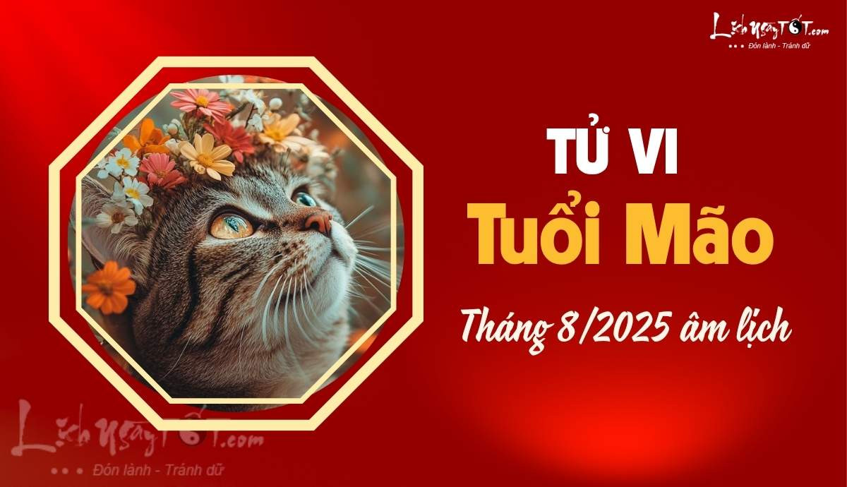 Vận trình tuổi Mão tháng 8 dương lịch theo tử vi