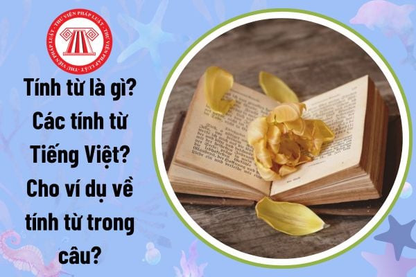 Ví dụ về tính từ trong tiếng Việt và vai trò của chúng