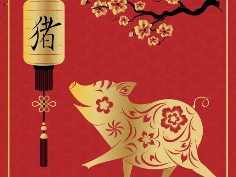 Việc xác định hướng nhà cho tuổi Hợi 1971 là rất quan trọng