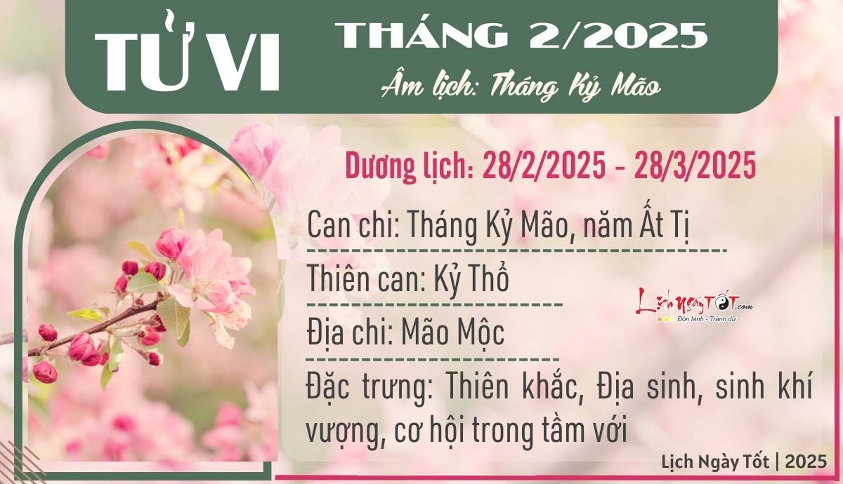 Xem tử vi tháng 2 2025 âm lịch cho 12 con giáp