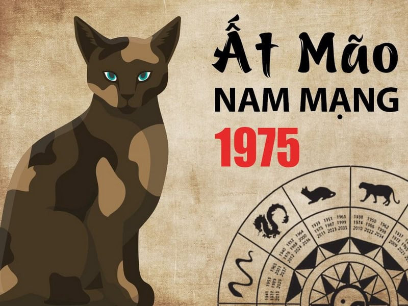 xem tử vi tuổi Ất Mão năm 2025 nam mạng