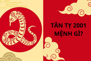 Ý nghĩa bản mệnh Bạch Lạp Kim của nữ 2001