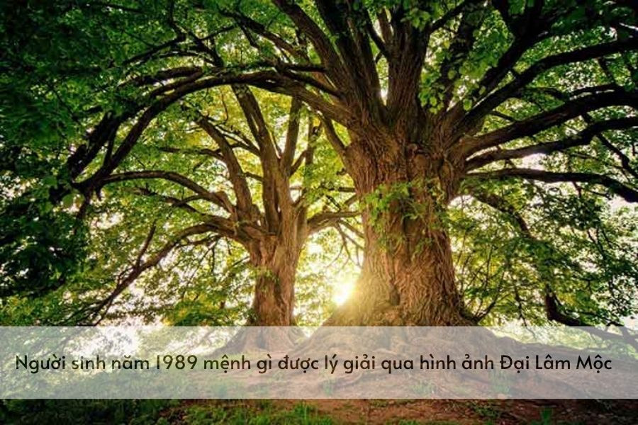 Ý nghĩa Đại Lâm Mộc của người tuổi Tỵ 1989 mệnh Mộc