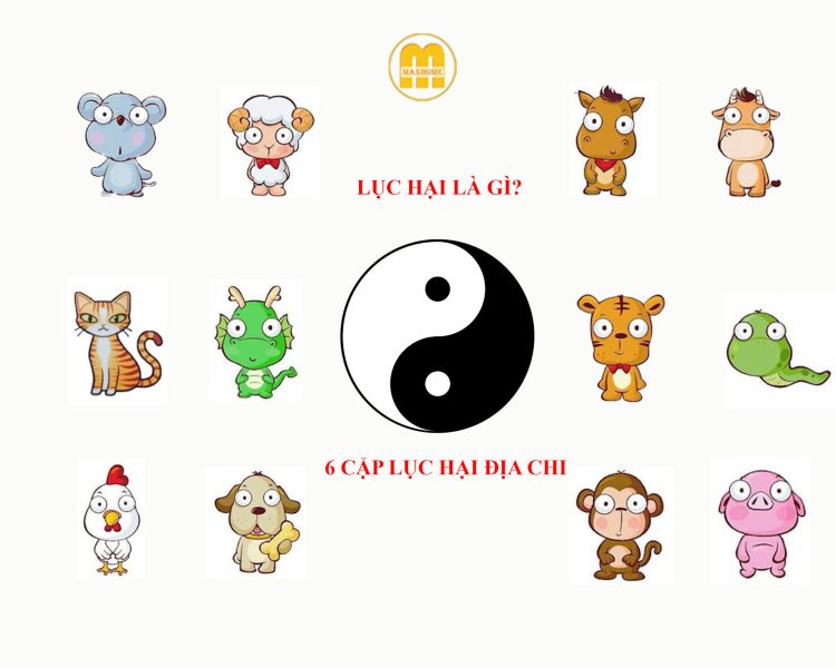 Ý nghĩa Lục Hại trong tử vi và các cặp con giáp tương khắc