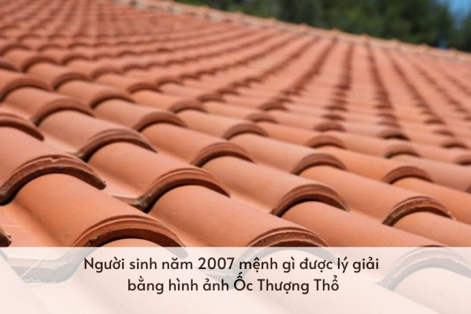 Ý nghĩa nạp âm Ốc Thượng Thổ của người Đinh Hợi 2007