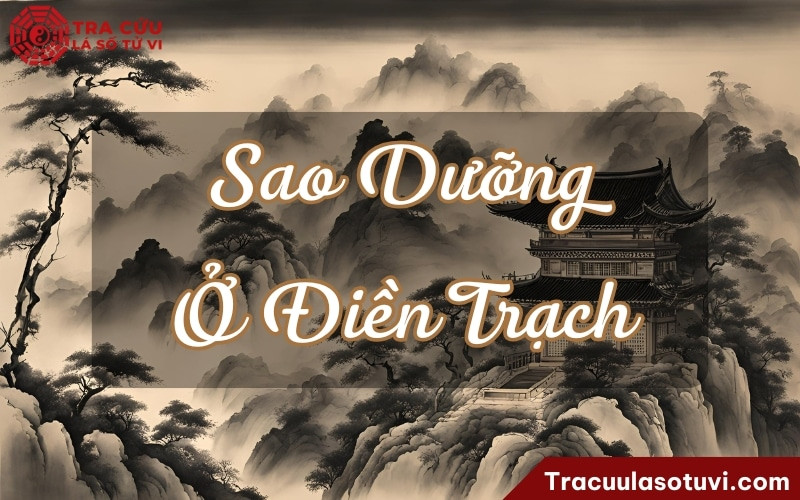 Ý nghĩa Sao Dưỡng ở cung Điền Trạch: người chăm sóc không gian sống, thích nuôi cây cảnh và tích lũy tài sản