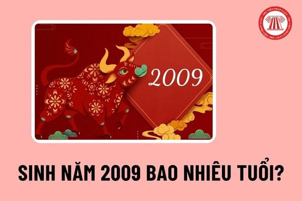 2009 tuổi con gì bao nhiêu tuổi, thông tin căn cước công dân