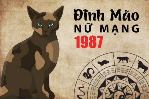 Ảnh hưởng ngũ hành của tử vi tuổi Mão 1987 nữ mạng năm 2024