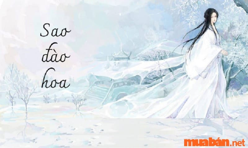 Ảnh hưởng sâu rộng của sao Đào Hoa đối với vận mệnh con người