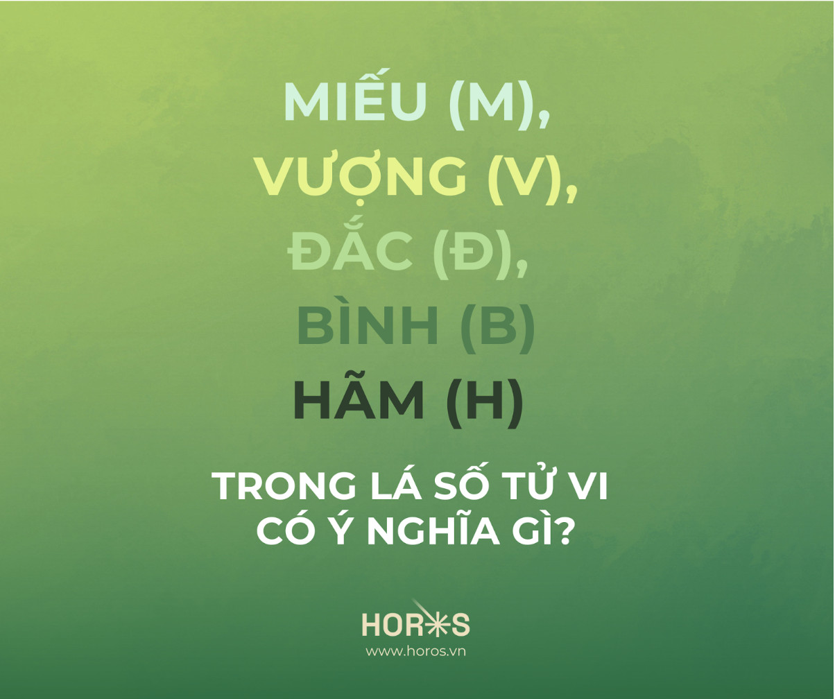 Ảnh minh họa lá số tử vi thể hiện các sao ở cung miếu địa