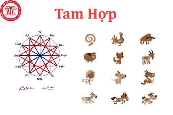 Ba người đang trao đổi công việc, minh họa sự hợp tác của tam hợp trong tử vi
