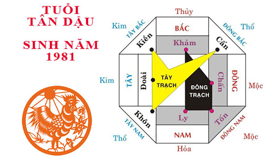 Bản đồ phong thủy giúp xác định nam tuổi Tân Dậu 1981 hợp hướng nào để xây nhà
