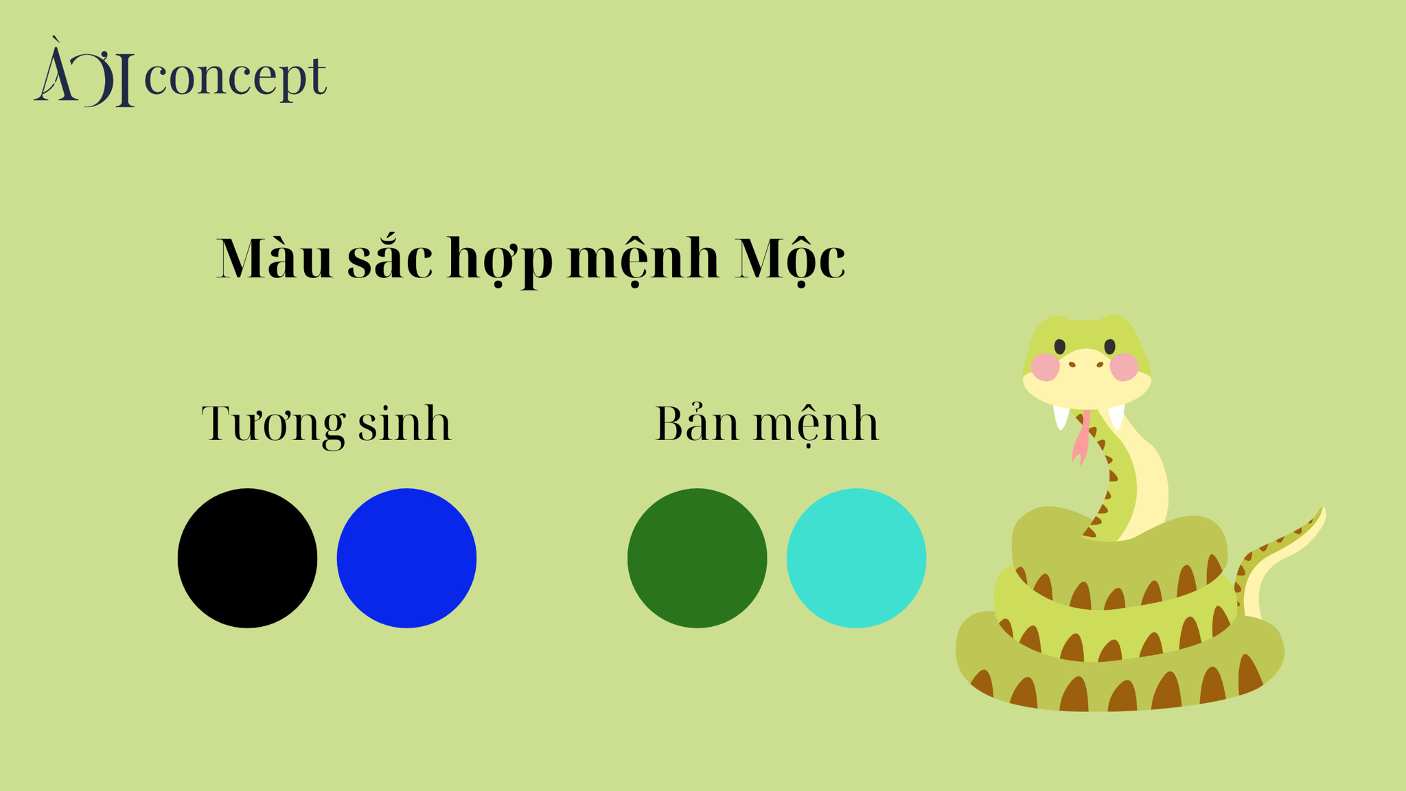 Bảng màu phong thủy tương sinh, bản mệnh giúp tuổi Tỵ 1989 hợp màu gì