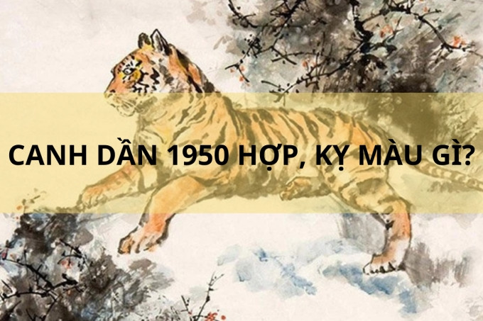 Bảng màu sắc hợp và kỵ cho người sinh năm 1950 tuổi con gì