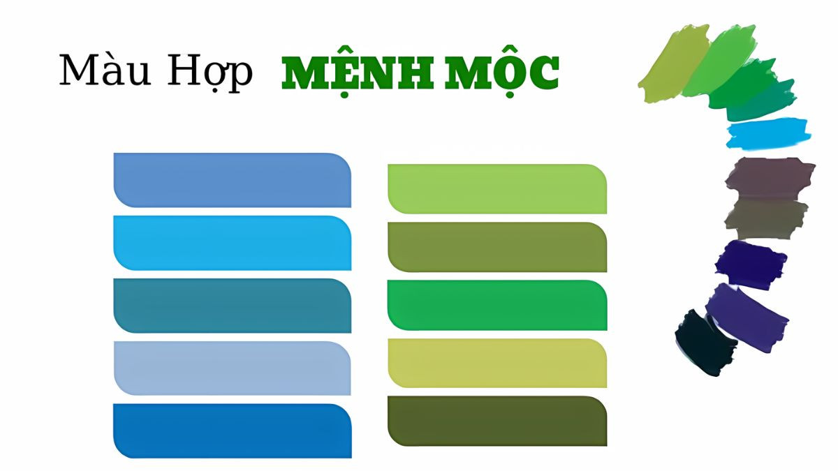 Bảng màu sắc hợp và kỵ với nữ 2002 mệnh Mộc