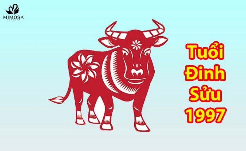 Bảng màu sắc phong thủy hợp với nữ sinh 1997 mệnh Thủy
