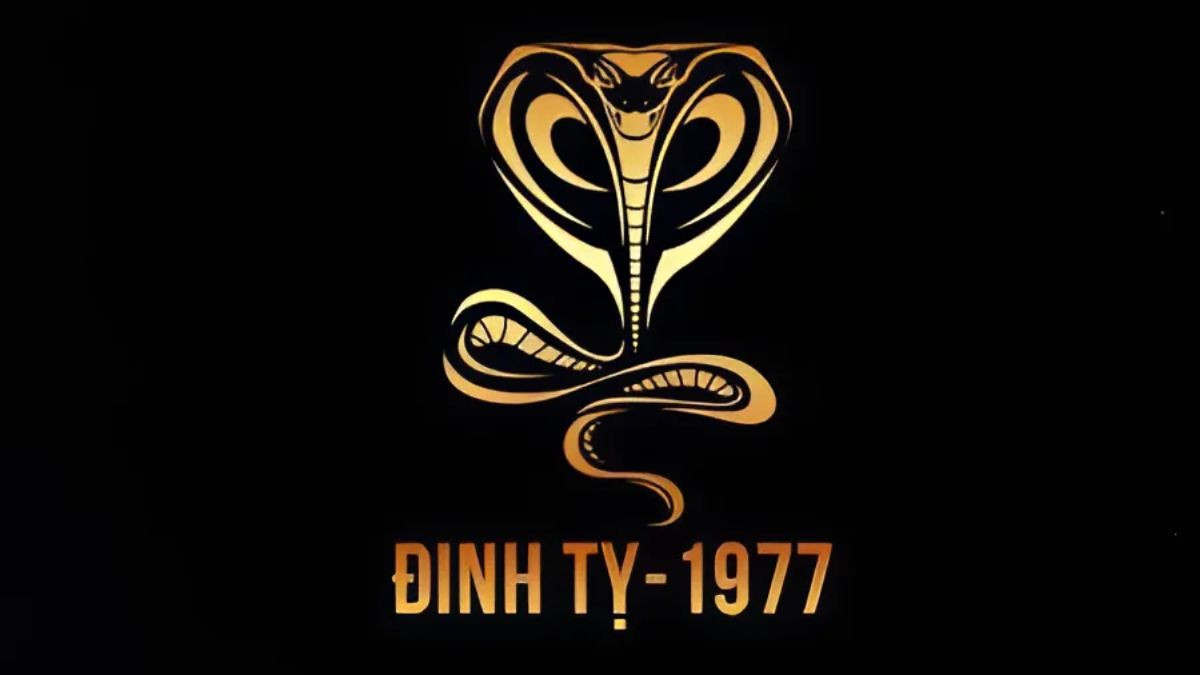 Bảng màu sắc phù hợp với người sinh năm 1977