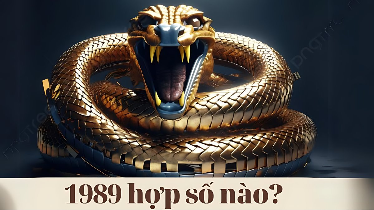 Bảng số may mắn và số kỵ cho tuổi Kỷ Tỵ