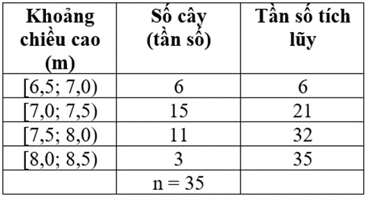 Bảng tính tần số tích lũy ví dụ 2