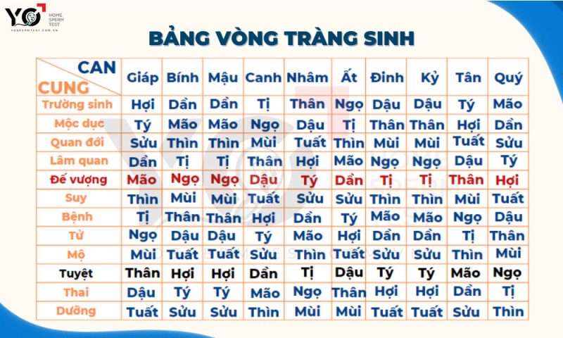 Bảng vòng tràng sinh trong tử vi đường con cái