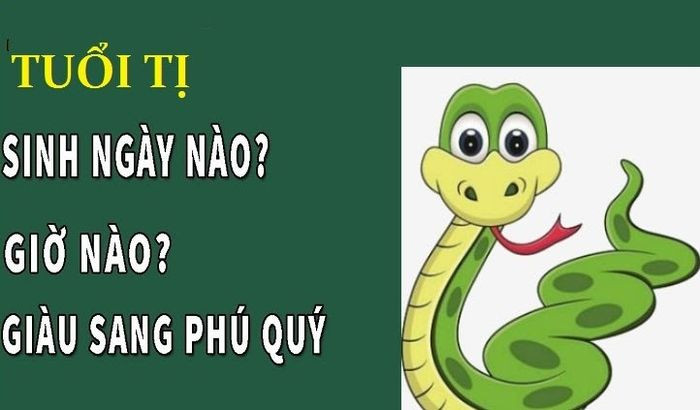 Bánh xe phong thủy thể hiện vận mệnh, tìm hiểu tuổi rắn sinh giờ nào tốt nhất.