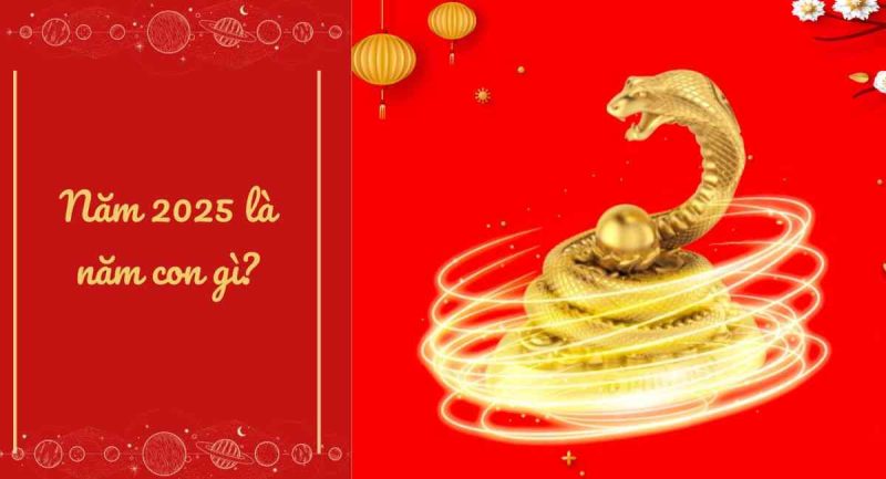 Bé trai, bé gái tuổi Ất Tỵ sinh năm 2025 thuộc mệnh Hỏa