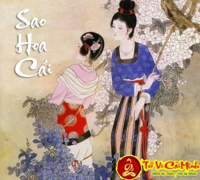 Biểu đồ an sao Hoa Cái trong lá số tử vi truyền thống