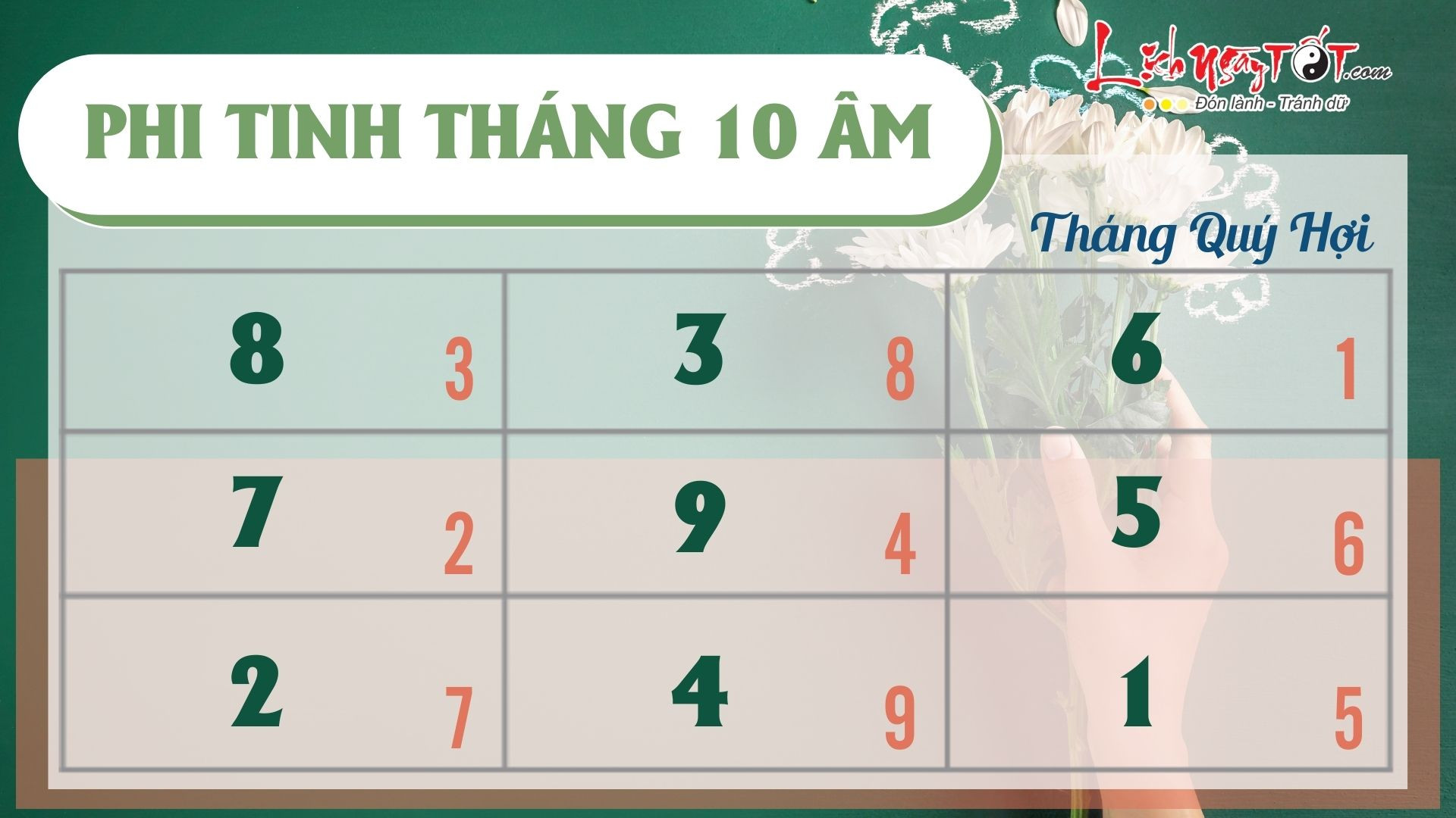 Biểu đồ phi tinh ảnh hưởng đến tử vi tuổi Bính Thìn