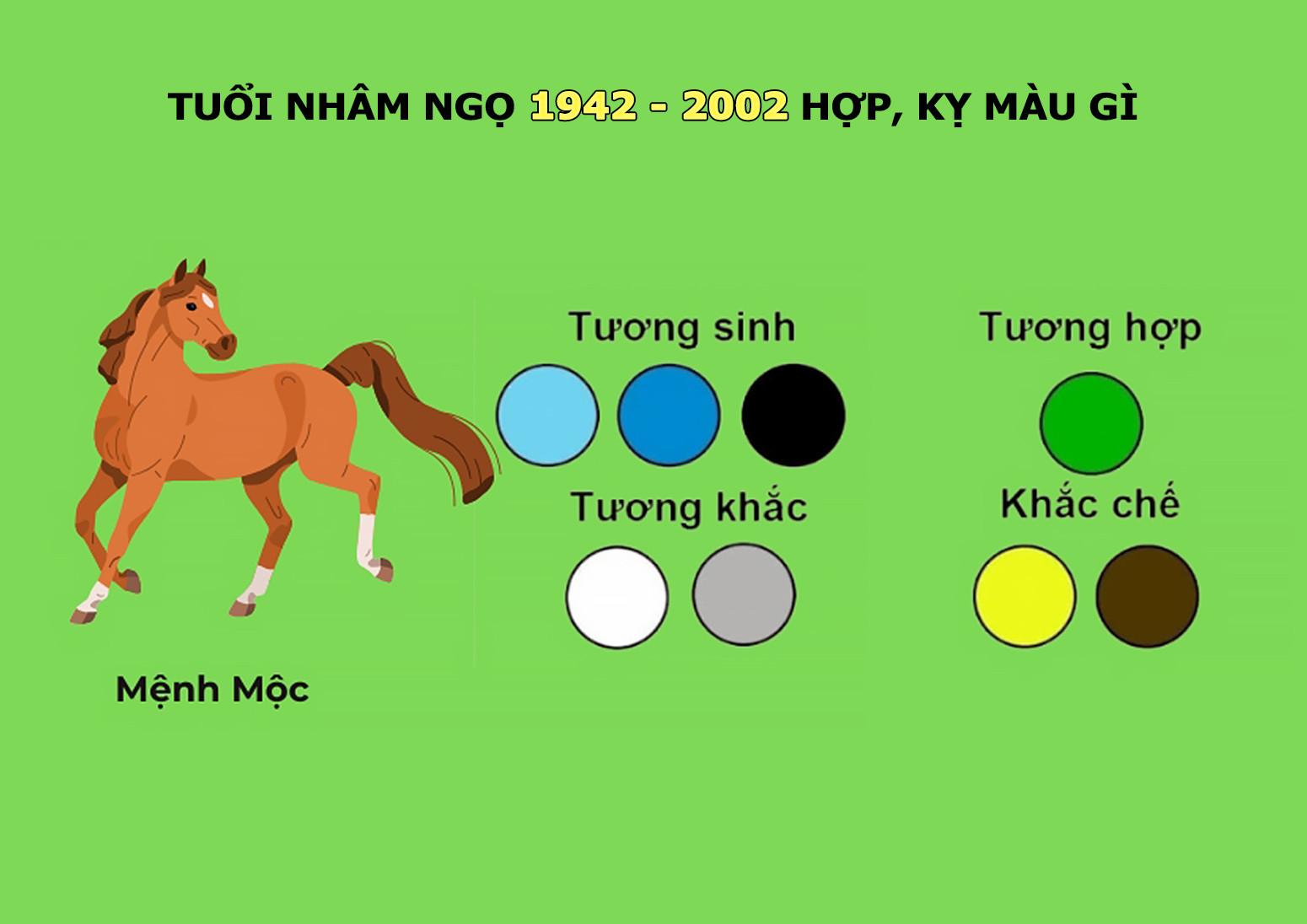 Biểu đồ tương hợp trong tử vi trọn đời tuổi Nhâm Ngọ