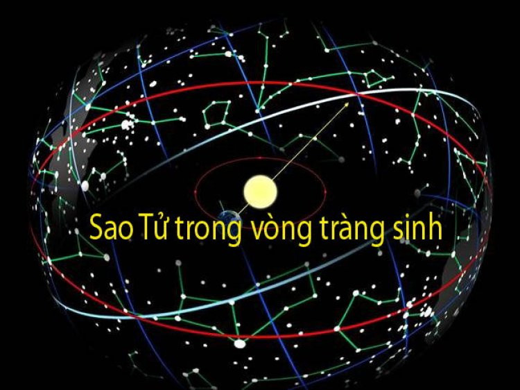 Biểu tượng bí ẩn của sao Tử trong lá số tử vi