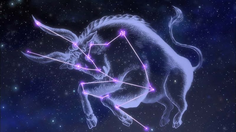Biểu tượng cung Kim Ngưu, đại diện cho sự ổn định và kiên nhẫn