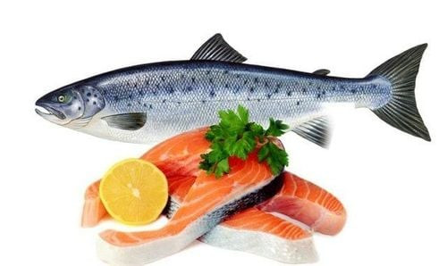 Cá hồi là nguồn thực phẩm giàu axit béo Omega-3 hỗ trợ tăng sinh collagen tự nhiên
