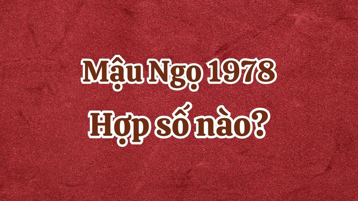 Các con số may mắn mang lại tài lộc cho người sinh năm 1978