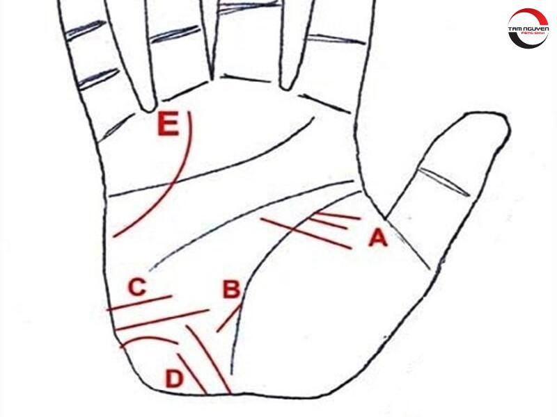 Các đường chỉ tay đặc biệt trên lòng bàn tay liên quan đến tử vi xuất ngoại