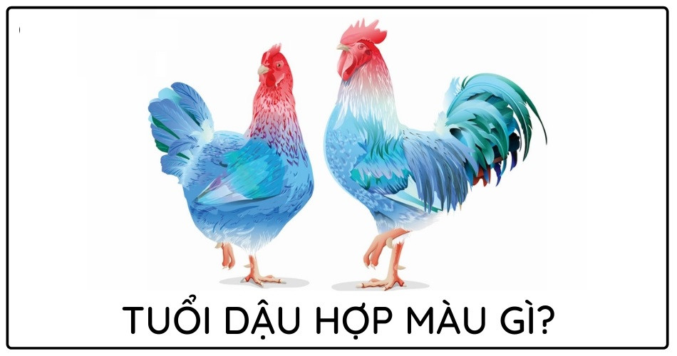 Các gam màu sắc phong thủy tương sinh, tương hợp với bản mệnh của người tuổi Dậu