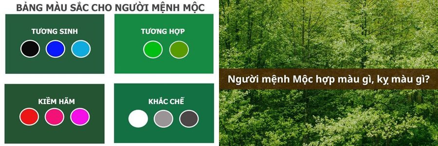 Các màu sắc kỵ với người tuổi Tỵ mệnh Mộc, như trắng và vàng đất