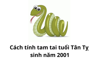 Cách tính hạn Tam Tai tuổi Tân Tỵ 2001