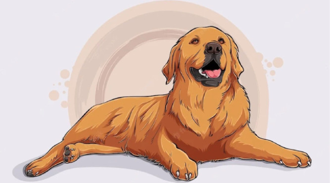 Canh Tuất 1970 - 55 tuổi là tuổi con gì