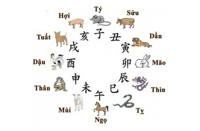 Cây kim ngân lượng hợp tuổi