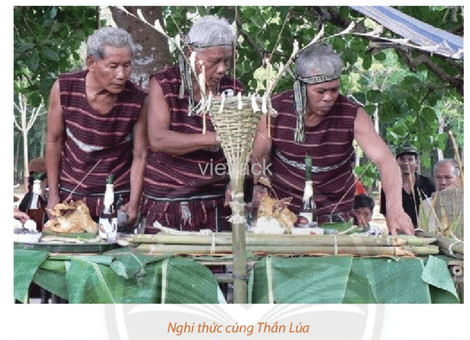 Cây nêu truyền thống trong lễ cúng Thần Lúa của người Chơ-ro, biểu tượng văn hóa