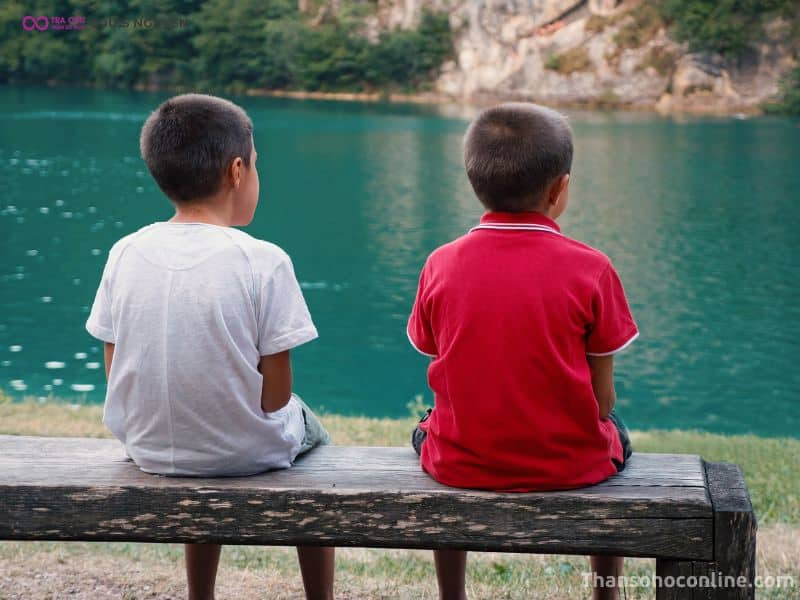 Chính tinh Cự Môn nhập cung Huynh Đệ, trường hợp Cự Môn nhập miếu thì có hai người