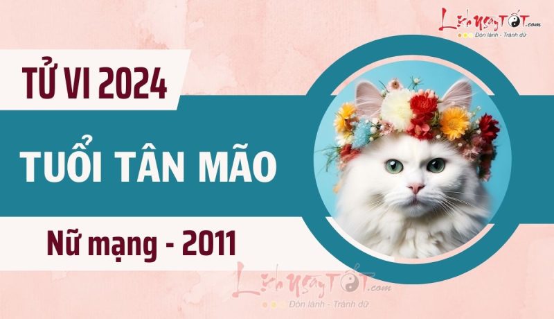 Cô gái tuổi Mão 2011 nữ mạng xem bói tử vi trong năm Giáp Thìn