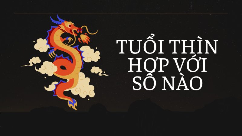 Cơ sở phong thủy để xác định tuổi Thìn hợp số mấy