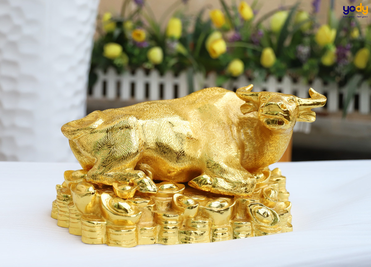 Con đường sự nghiệp của người sinh năm 1997 bao nhiêu tuổi.