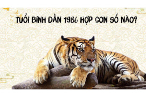 Con số mang lại may mắn và tài lộc cho nữ tuổi Bính Dần 1986