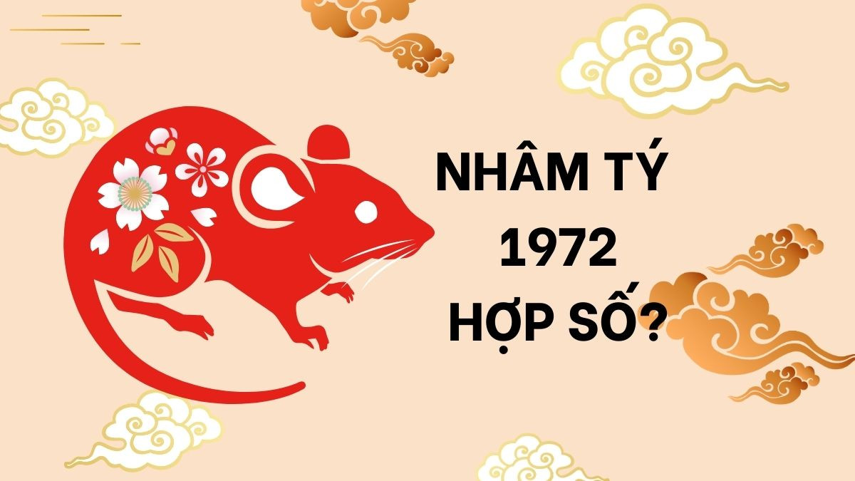 Con số phong thủy mang lại tài lộc cho người tuổi Tý mệnh gì 1972